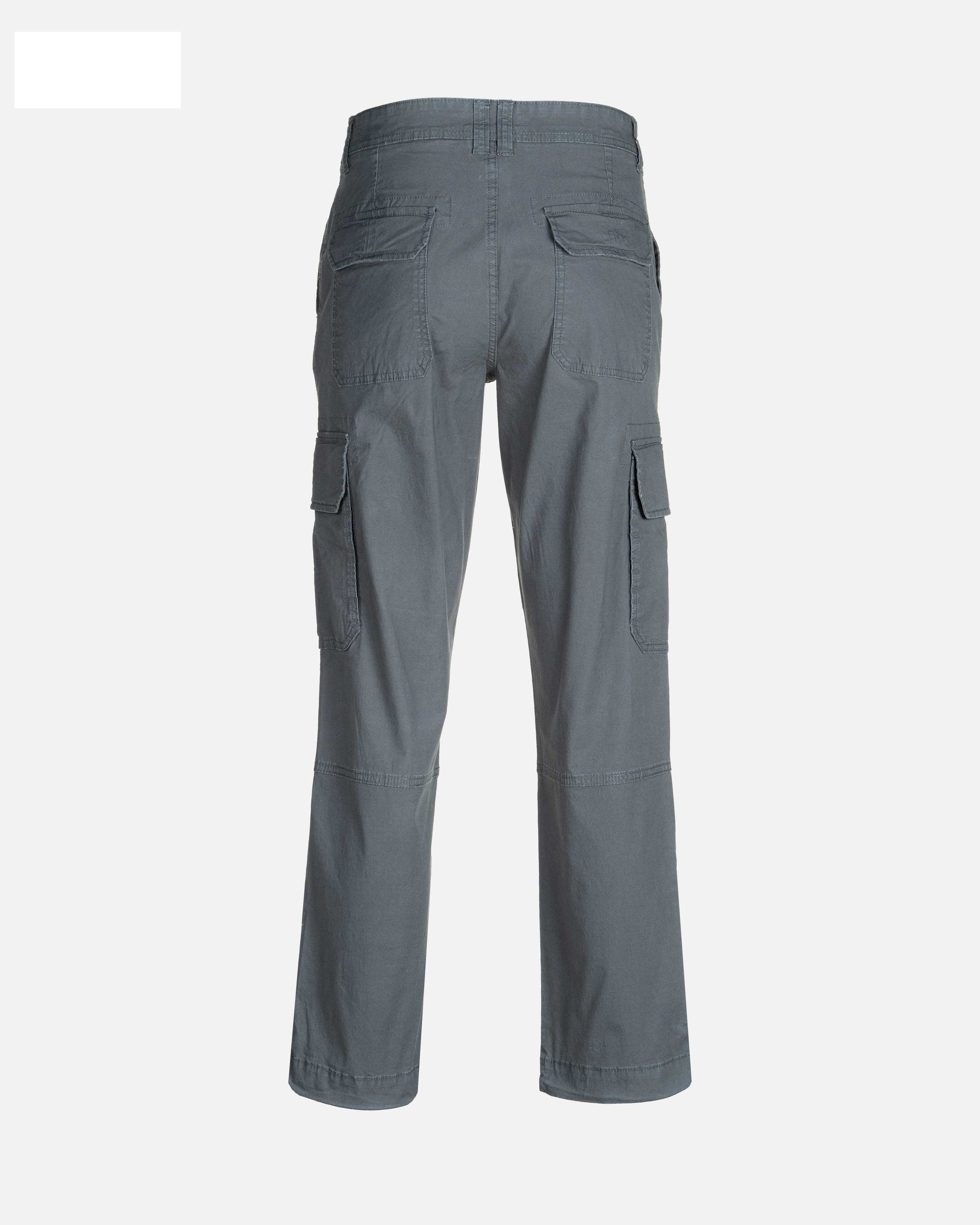 ARF112X Casual Pant - Male